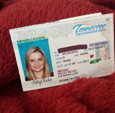 Where To Buy Usa Dl Online Buy American Drivers License Online