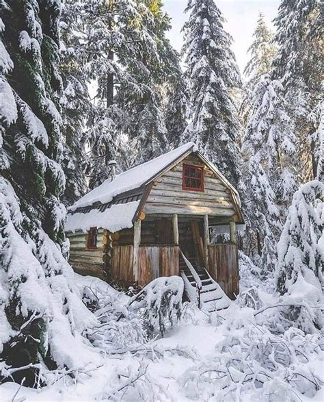 Rustic Secluded Mountain Cabin Snow Cabin Cabins In The Woods