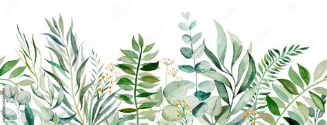 Watercolor Botanical Leaves Seamless Border Illustration Stock Illustration Adobe Stock