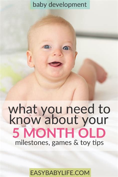 All About 5 Month Old Baby Development Milestones Fun Activities Toy Tips