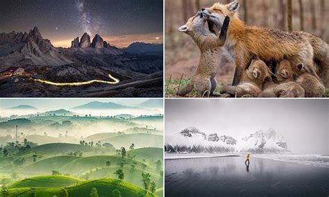 The Stunning Entries For The Sony World Photography Awards 2019 Daily