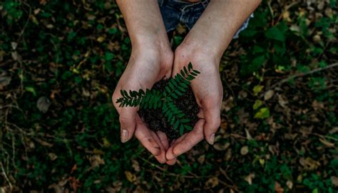 What Is An Environmentally Sustainable Workplace And Why You Should