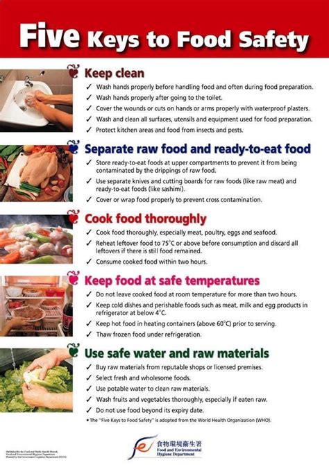 Food Safety Chart In 2020 With Images Food Safety And Sanitation
