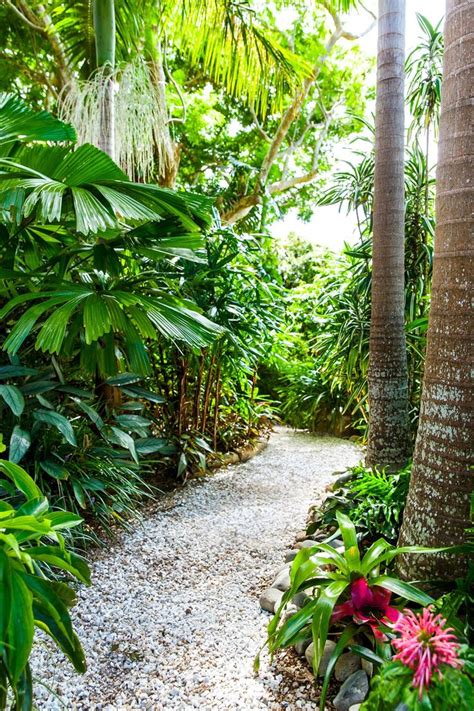 372 Best Images About Tropical Landscaping Ideas On Pinterest