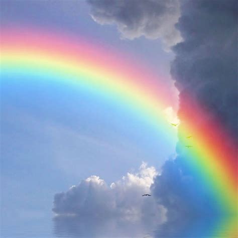 Symbolic Meaning Of Rainbows On Whats Your Sign