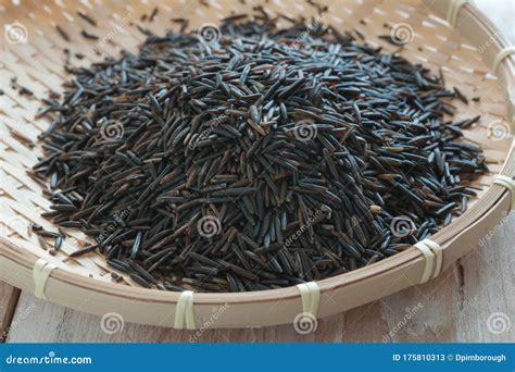 North American Wild Rice Stock Image Image Of Indian 175810313