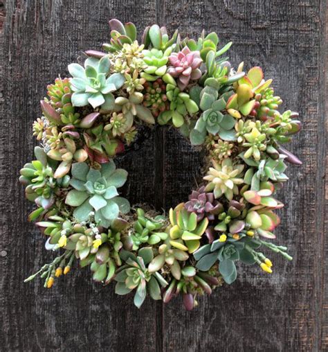 10 Living Succulent Wreath Makes A Great Fall Decoration