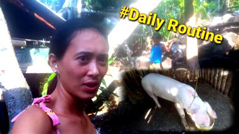 Daily Morning Routine Pagpapakain Ng Aming Mga Alagang Hayop Farmy Official Youtube