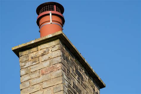 How to deter & keep birds away from my antenna/ tv aerial. Why It's Important To Keep Animals Out Of Your Chimney