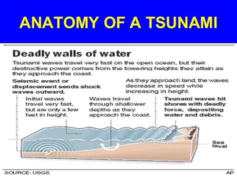 Deadly Tsunamis Cut Path Of Devastation Across Pacific