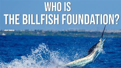 The Billfish Foundation Who We Are Youtube