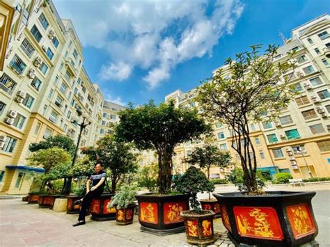 Jun 03, 2021 · nghệ sĩ quang tèo. Nghệ sĩ Quang Tèo khoe khu vườn nhỏ muôn hoa đua sắc trước căn chung cư 7 tỷ đồng