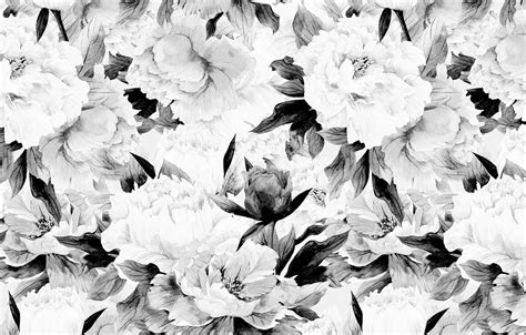 Black And White Flower Wall Mural Floral Wall Mural Mural Etsy
