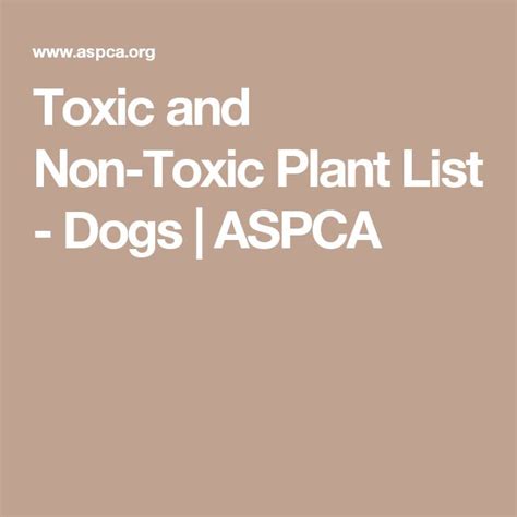 Cat friendly plants, free shipping & low prices, shop now! 32 best images about Pet Health & First Aid on Pinterest ...