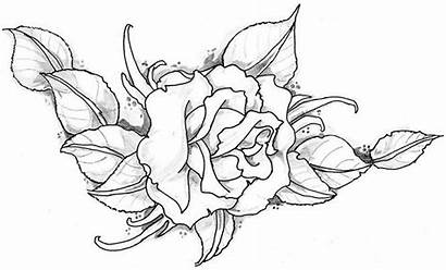 Sketsa Mawar Bunga Gambar Terbaik Terbaru Dan