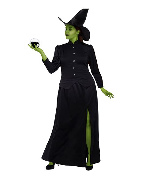 adult women s plus wicked witch of the west ephalba classic oz costume dress hat ebay