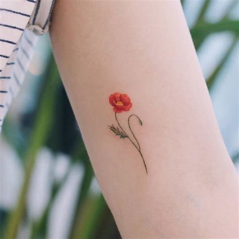 60 Beautiful Poppy Tattoo Designs And Meanings Page 4 Of 6 Tattooadore