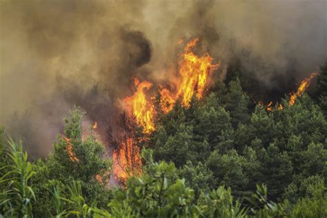 Πληροφορίες για εγκλωβισμένους στην ηλεία εκτος ελέγχου είναι η πυρκαγιά στην ηλεία, καθώς σύμφωνα με. Φωτιά σε βαλτώδη περιοχή στην Ηλεία