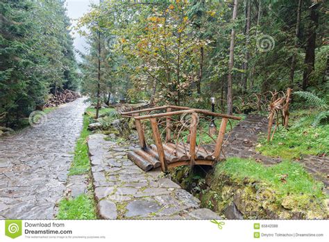 Wooden Bridge And Trail In Wet Rainy Park Stock Photo Image Of Green