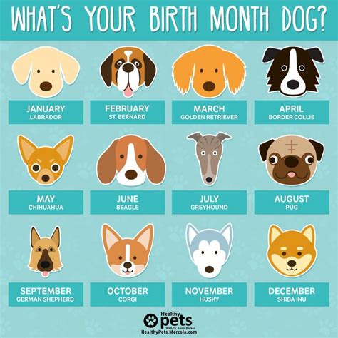 Dr Karen Becker On Twitter Dog Birth Birth Animal Dog Zodiac