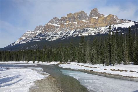 Bow River Flows Through Past A Pine Forest Under The Majestic Canadian