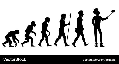 Human Evolution From Ape To Man Royalty Free Vector Image