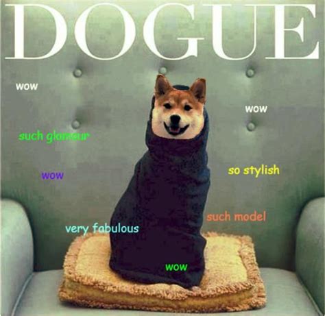 Doge The Best Of The Doge Meme Doge Memes Doge Meme
