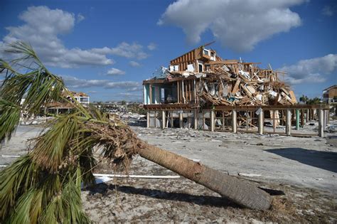 What Hurricane Michael Meant For Farms Oil Production And Nursing