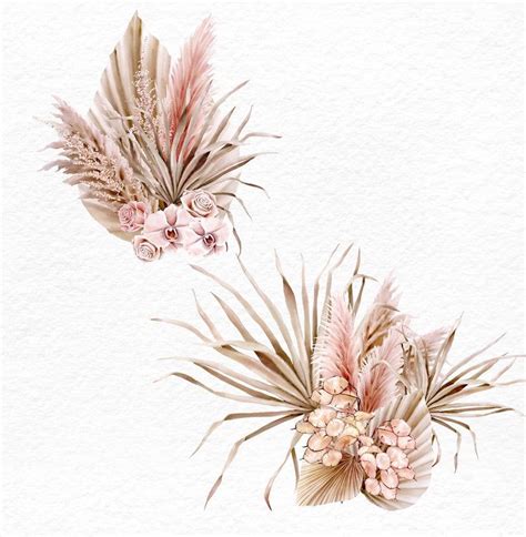 Pampas Grass And Orchids Watercolor Clipart 5 Blush Bouquets With Dried