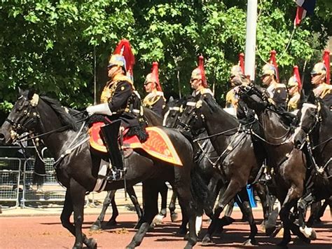 The Household Cavalry Museum London All You Need To Know Before You