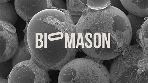 Biomason Biomason0241 Profile Pinterest