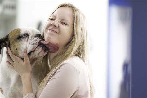 Humane Society Of Tampa Bay Needs Volunteer Dog Snugglers Southern Living