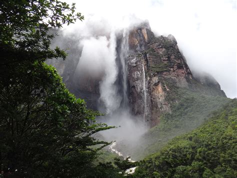 Birding Angel Falls And Laguna Canaima Area Venezuela Venezuela