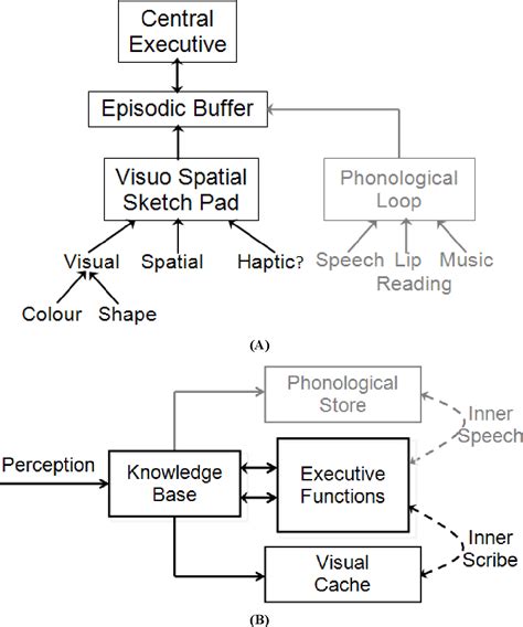 Figure 1 From The Development Of Visuo Spatial Working Memory In