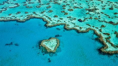 scientists discover secret reef behind the great barrier reef condé nast traveler