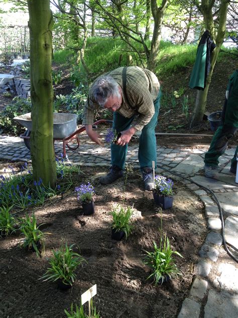 Gärtnerei neuss bis ditz gmbh neuss. Willkommen im GARTEN der NATUR (Teil 1) | KÜSTERS Garten ...