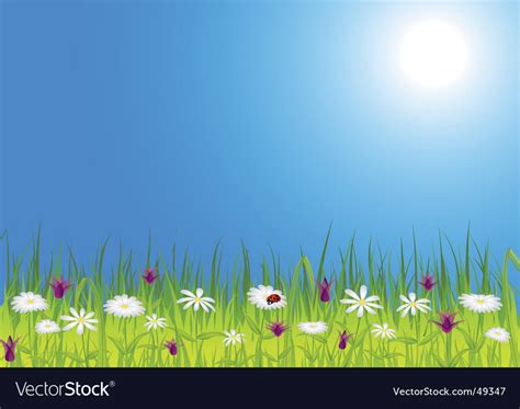 Spring Meadow With Flowers Royalty Free Vector Image