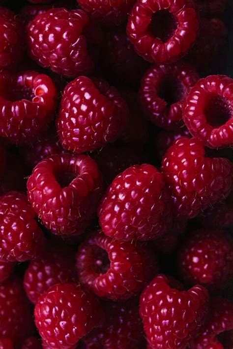 Raspberries Фрукты Фотография фруктов Ягоды