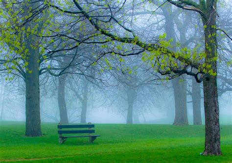 Misty Park Wallpapers Wallpaper Cave