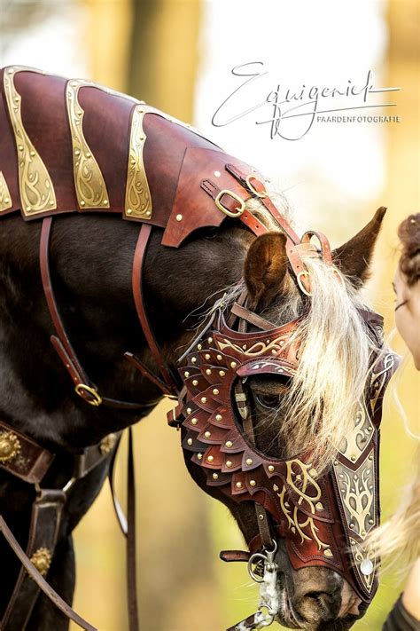 ♞pinterest Limitlessskyy♘ Horses Horse Armor Medieval Horse