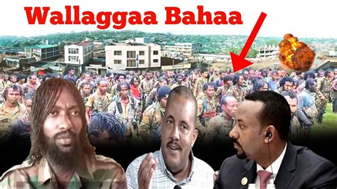 Oduu Hatattama Wbo Fi Tplf Lola Guddaa Gagesa Jirachu Abiy Waraana Kuma