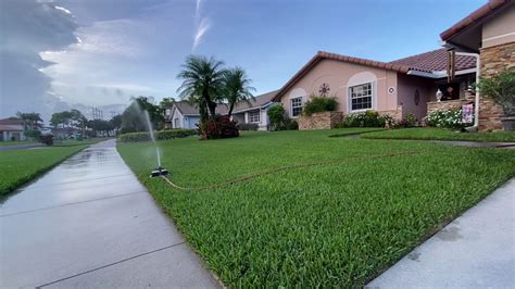 Check spelling or type a new query. Evening summer lawn watering St Augustine grass - YouTube