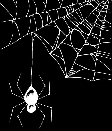 Pin By Dorine Joan On Spider Spider Art Spider Web Drawing Spider