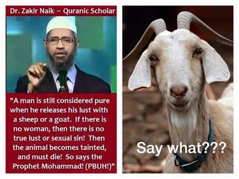 Transpress Nz For Some Light Relief A Muslim Cleric On Sex With Goats And Sheep