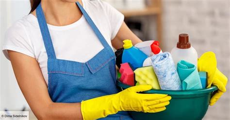 Cleaners Les Experts Du Ménage