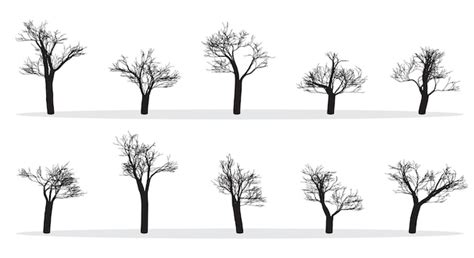 Premium Vector Naked Trees Silhouettes Set Hand Drawn Isolated Autumn