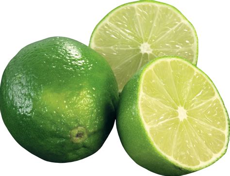Lime Png Image Purepng Free Transparent Cc0 Png Image Library