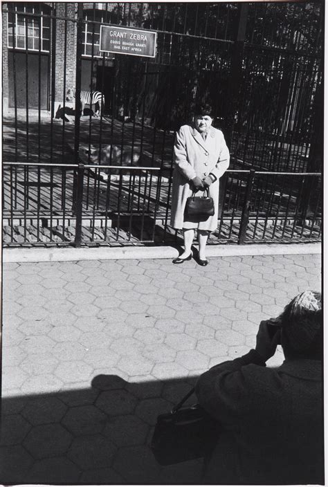 Garry Winogrand 19281984 Central Park Zoo New York 1962 Christies