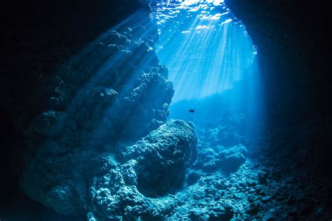 青の洞窟に降り注ぐ神秘の光 ワールドダイビング