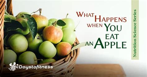 What Happens When You Eat An Apple Days To Fitness